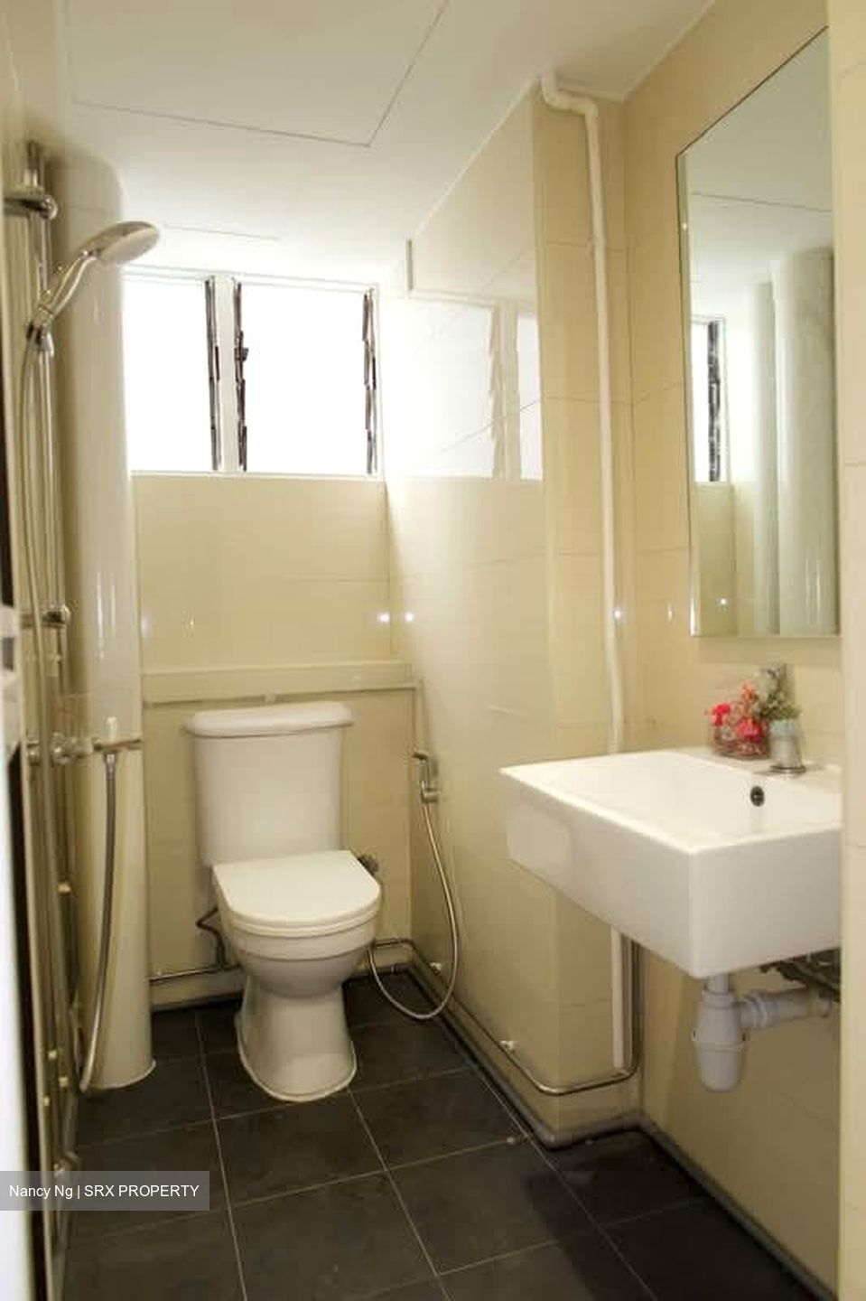 Dunearn Road (D11), Apartment #544035111